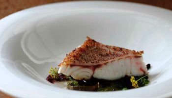 Hostelería Uranzu, catálogo de porcelana